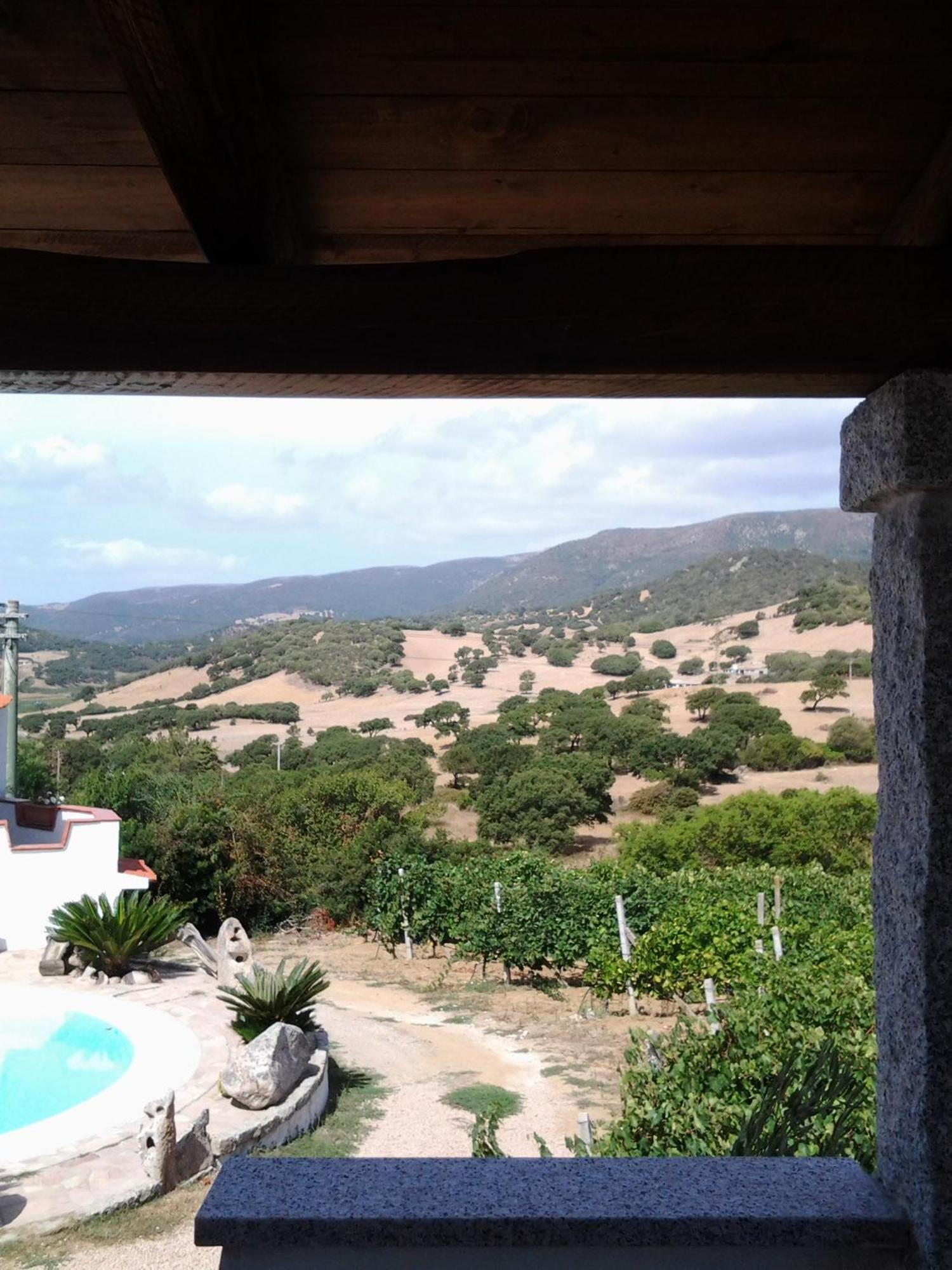 Agriturismo B&B Domo De Resteblas Berchidda Buitenkant foto