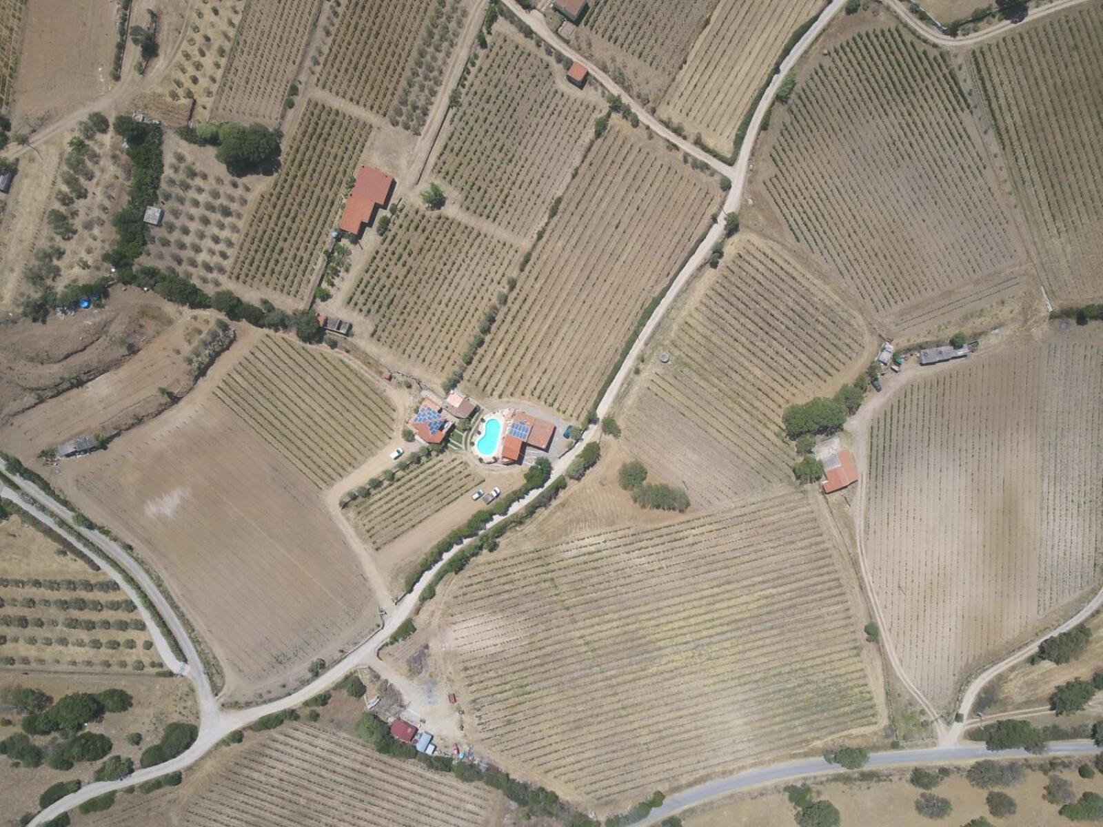 Agriturismo B&B Domo De Resteblas Berchidda Buitenkant foto
