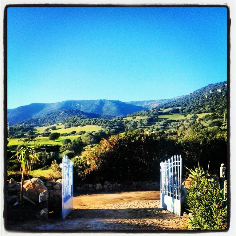 Agriturismo B&B Domo De Resteblas Berchidda Buitenkant foto