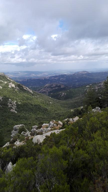 Agriturismo B&B Domo De Resteblas Berchidda Buitenkant foto