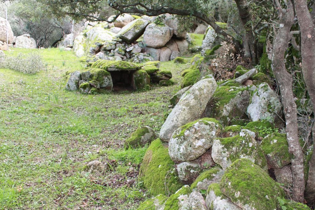 Agriturismo B&B Domo De Resteblas Berchidda Buitenkant foto