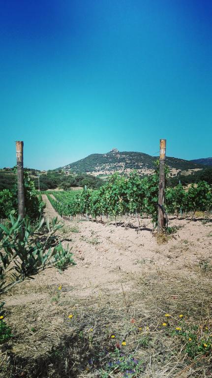 Agriturismo B&B Domo De Resteblas Berchidda Buitenkant foto