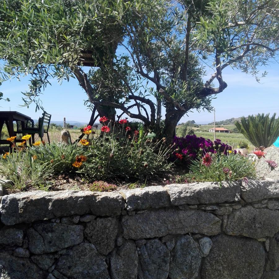 Agriturismo B&B Domo De Resteblas Berchidda Buitenkant foto