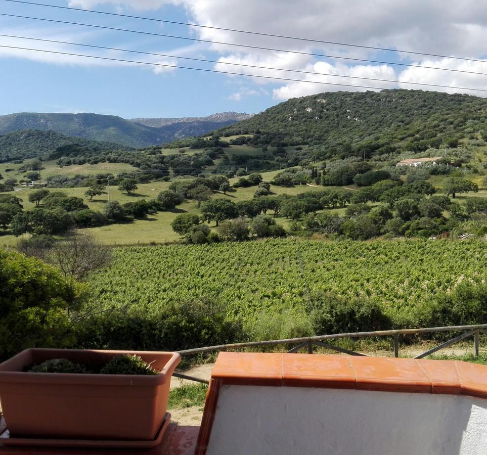Agriturismo B&B Domo De Resteblas Berchidda Buitenkant foto