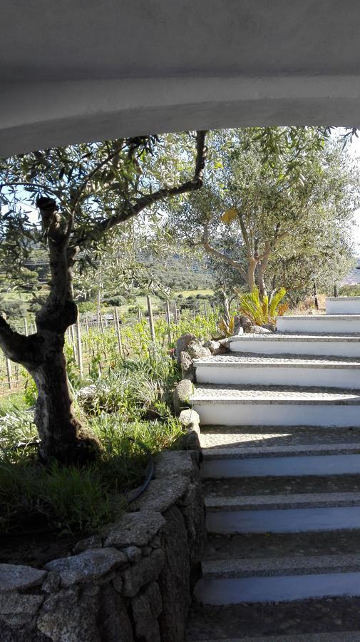 Agriturismo B&B Domo De Resteblas Berchidda Buitenkant foto