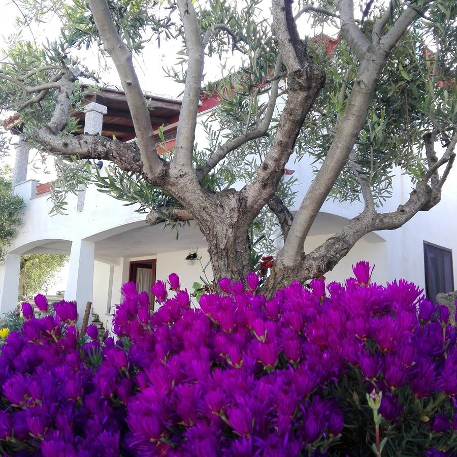 Agriturismo B&B Domo De Resteblas Berchidda Buitenkant foto