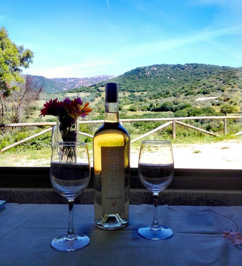 Agriturismo B&B Domo De Resteblas Berchidda Buitenkant foto